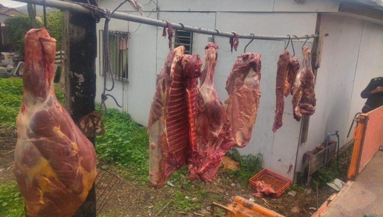 /carabineros-detuvo-hombre-por-funcionamiento-de-matadero-clandestino