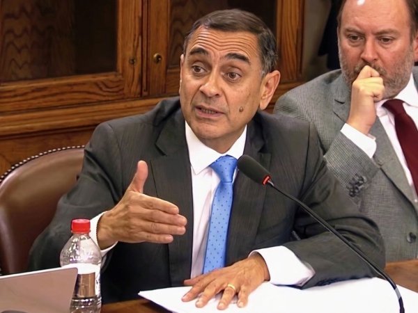 Proponen actualizar Ley del Mono