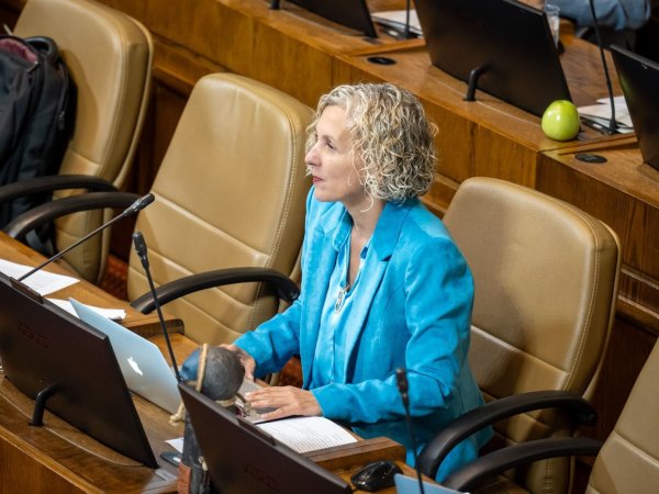 Castillo pide mayor dureza contra robos en el campo