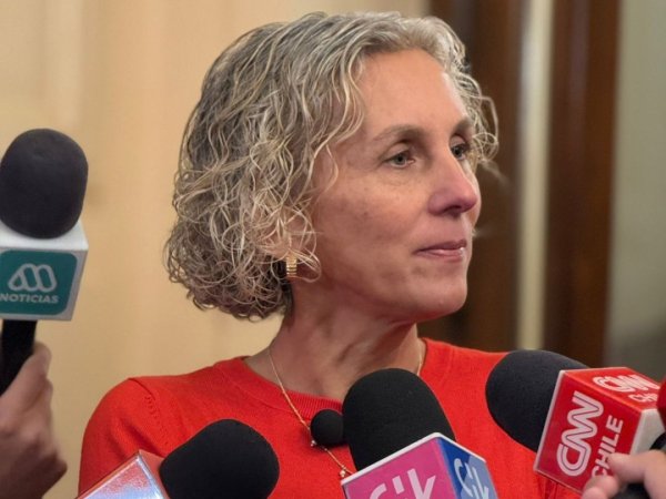 Diputada cuestiona enfoque del plan de reconstrucción