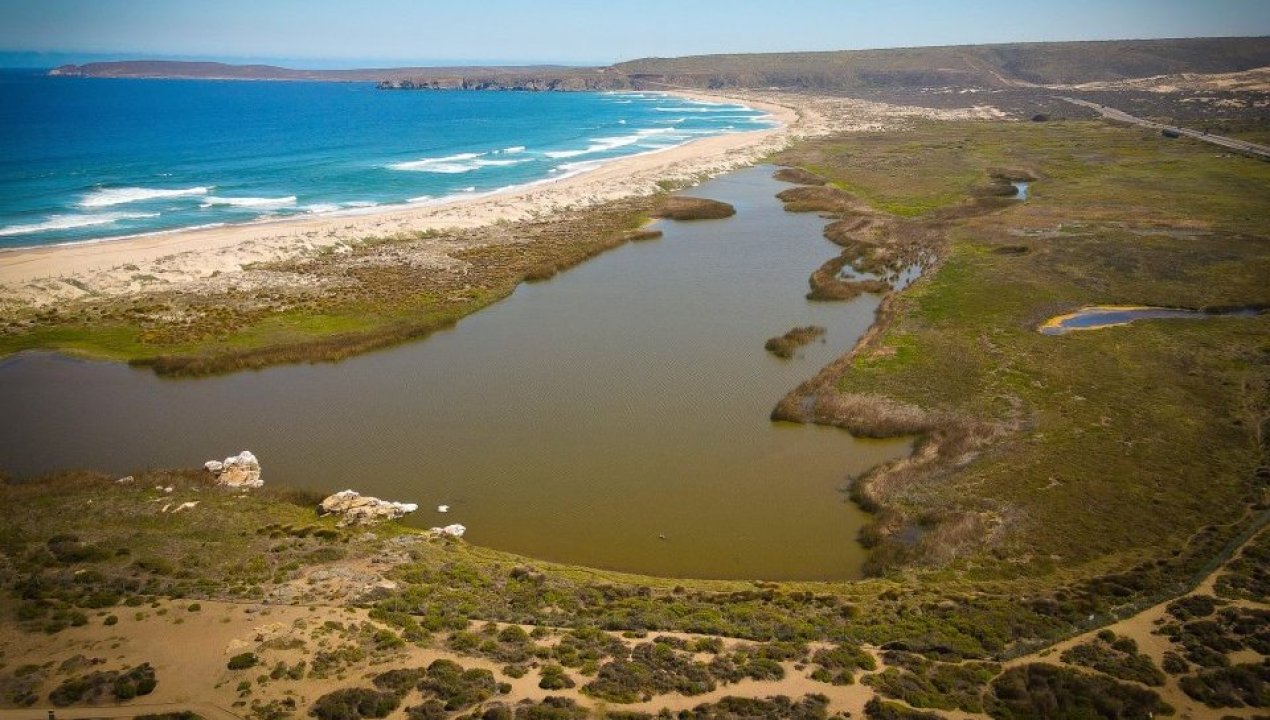 /laguna-conchali-mas-de-dos-decadas-de-conservacion
