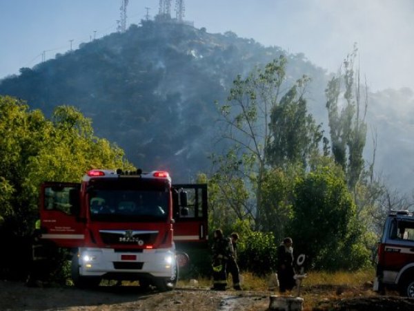 Incendios forestales siguen activos y Ejecutivo endurece advertencias a responsables