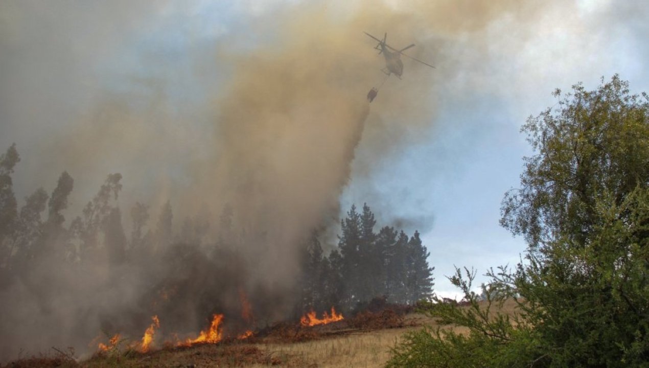 /actualidad/fiscalia-de-nuble-investiga-origen-de-incendios-forestales-tras-muerte-de
