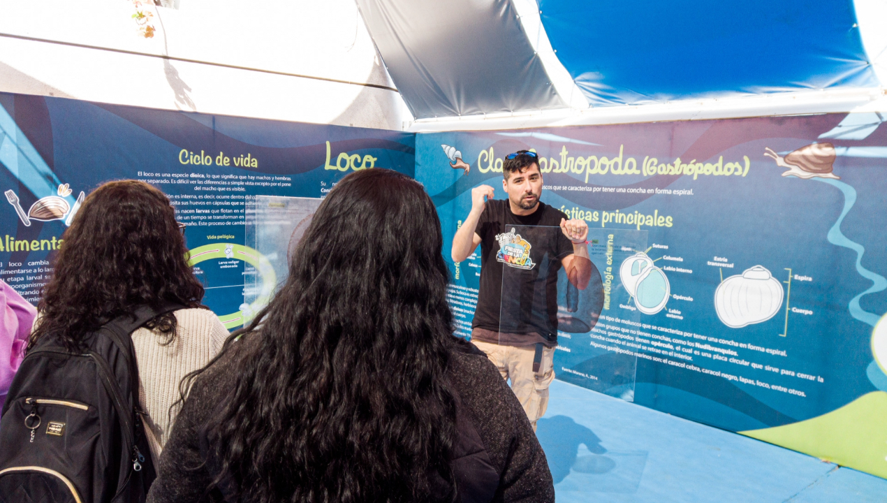 /muestra-zoom-marino-invita-a-un-recorrido-por-la-biodiversidad-costera-de